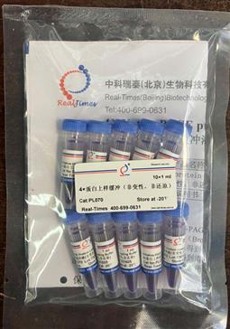 4×蛋白上樣緩沖（非變性，非還原）